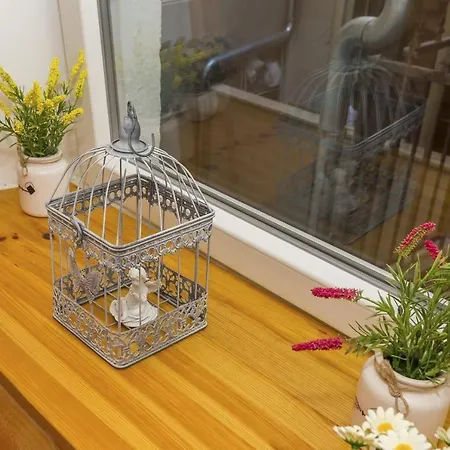 Hidden Gem In Diocletian Palace Old Town Center